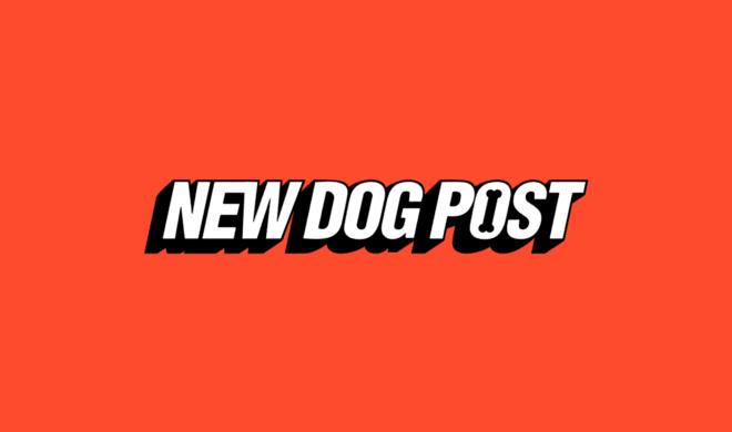New Dog Post