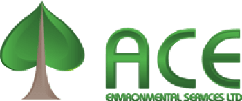 Mastering Asbestos Removal: Safeguarding Greater Vancouver with Ace Environmental