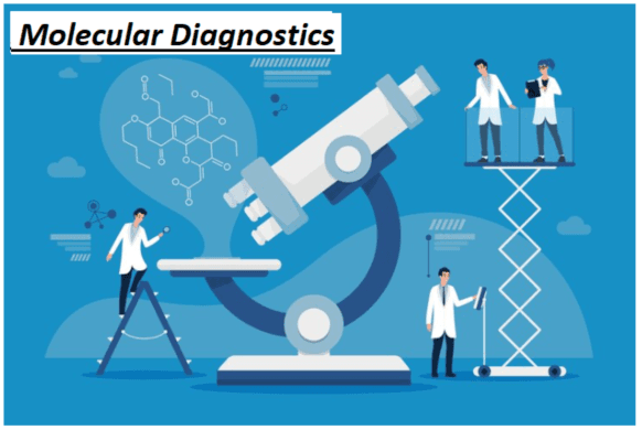 Funding and Investments to Improve Accessibility to Healthcare Services Driving Market’s Growth