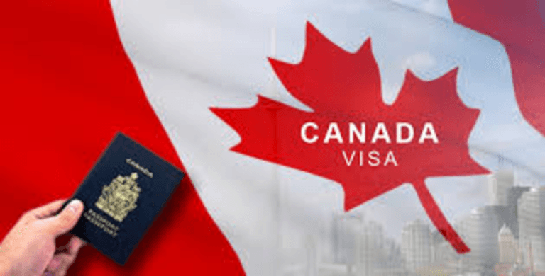 Elation Visas