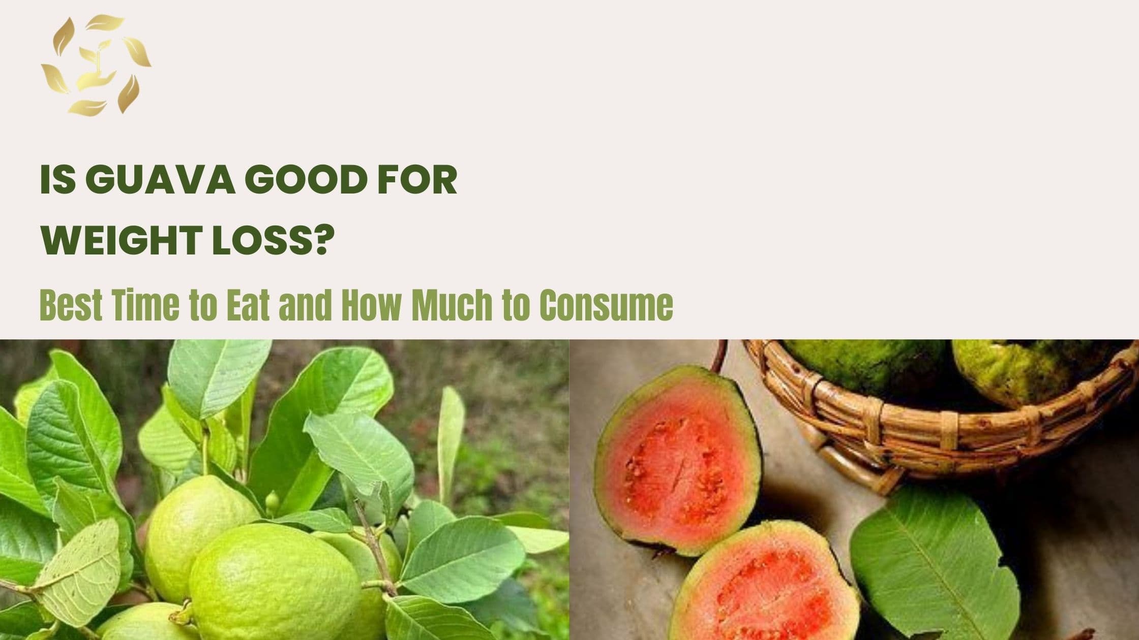 Guava for Weight Loss: Best Time to Eat & Ideal Quantity