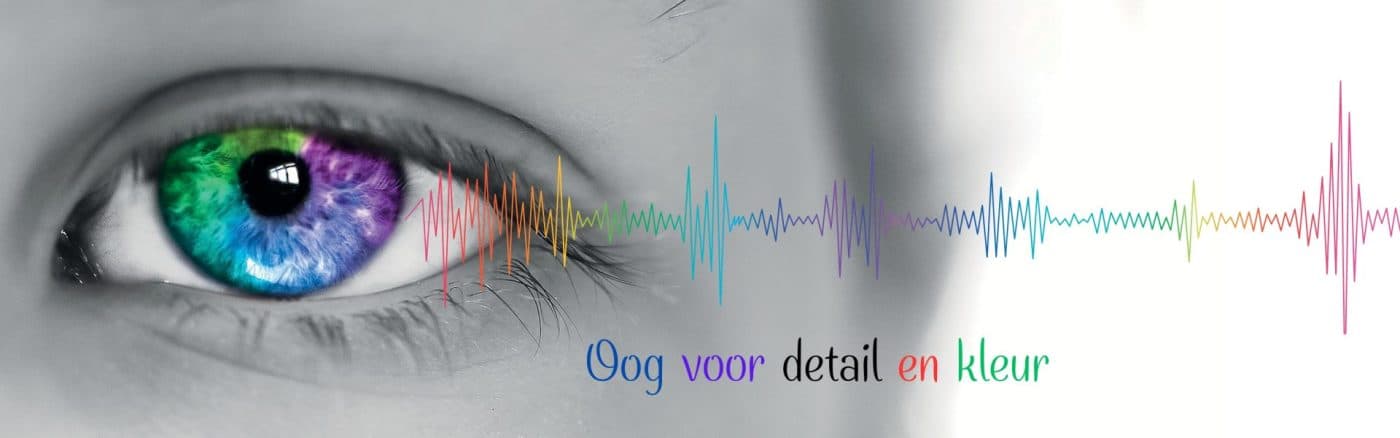 Printen & Kopiëren in Doetinchem – Witteveen Printshop 