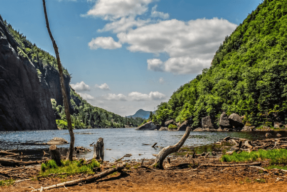 Sizzling Summer Honeymoon Trends in Ooty