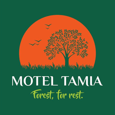 Best Resort In Pachmarhi | Best Resort In Pachmarhi Madhya Pradesh | Motel Tamia