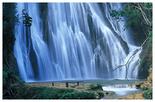 Your Trusted Travel Agency in the US