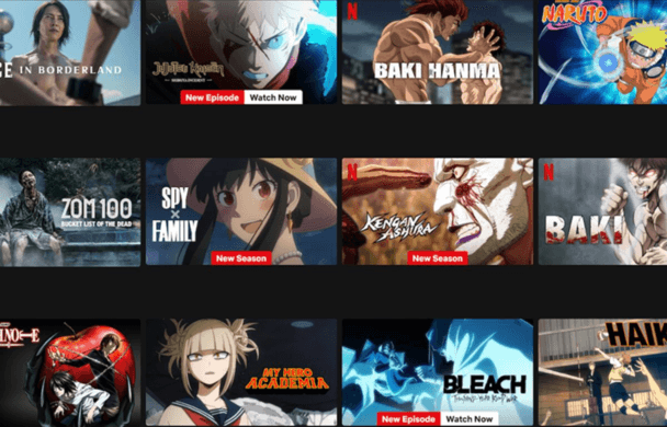 How to Watch Japanese Netflix from Any Where  