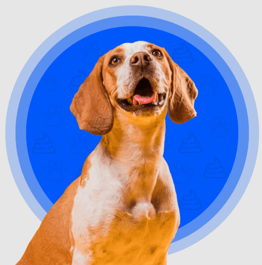 Dog poop yard cleaner