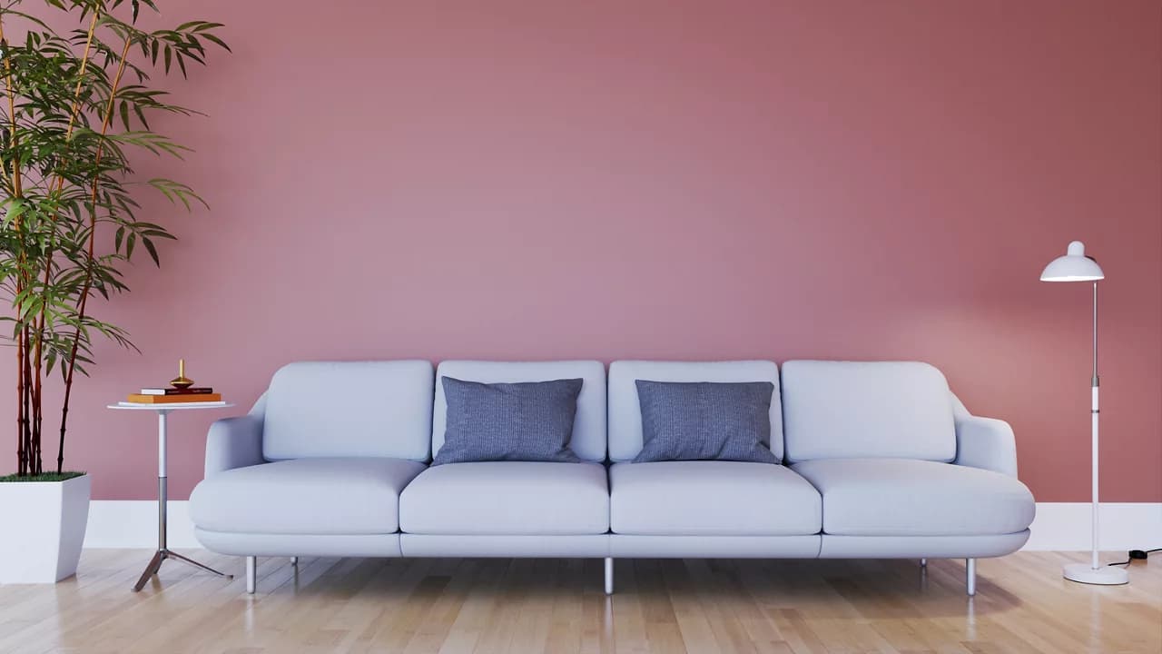 Hall Wall Colour Combinations for Indian Living Room