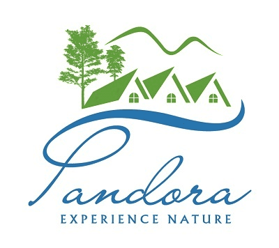 Book one of the best hotels in ooty with hill view under your budget only at Pandora Hills Resort
