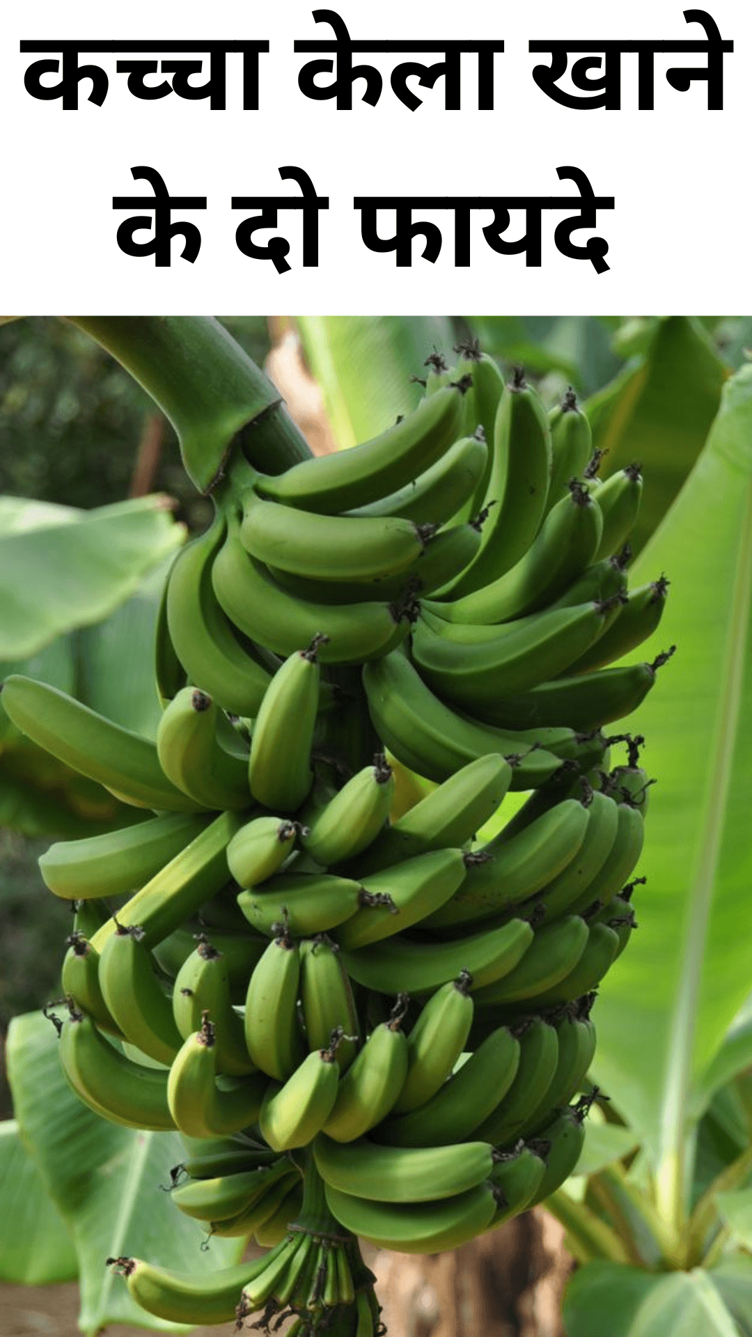 Two benefits of eating raw banana