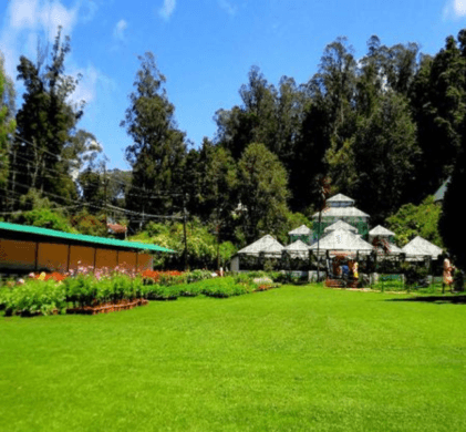 Top 11 Ooty Honeymoon Packages - 2024 (220+ Reviews)