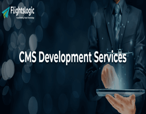 CMS Development Services