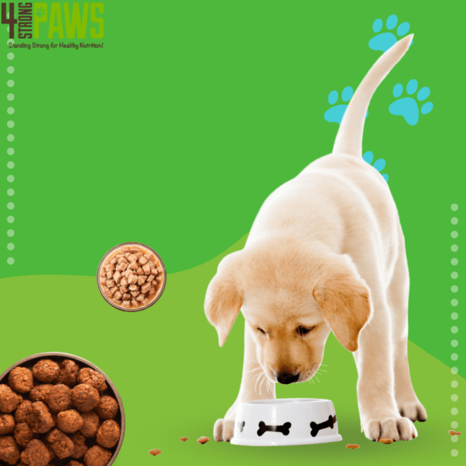 THE SIGNIFICANCE OF NUTRITIOUS DOG FOOD