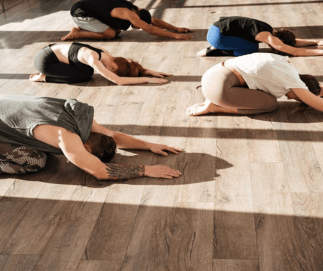 The Essential Guidelines for Selecting the Best Yoga Training in Sydney