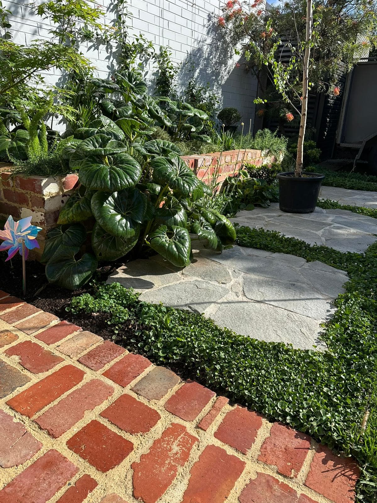 Garden Construction in Melbourne