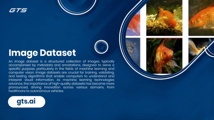 Understanding Image Datasets: The Backbone of Modern AI