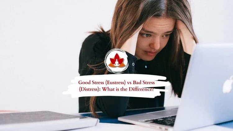 What Is the Difference Between Stress and Distress?