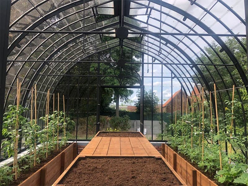 Large Greenhouse