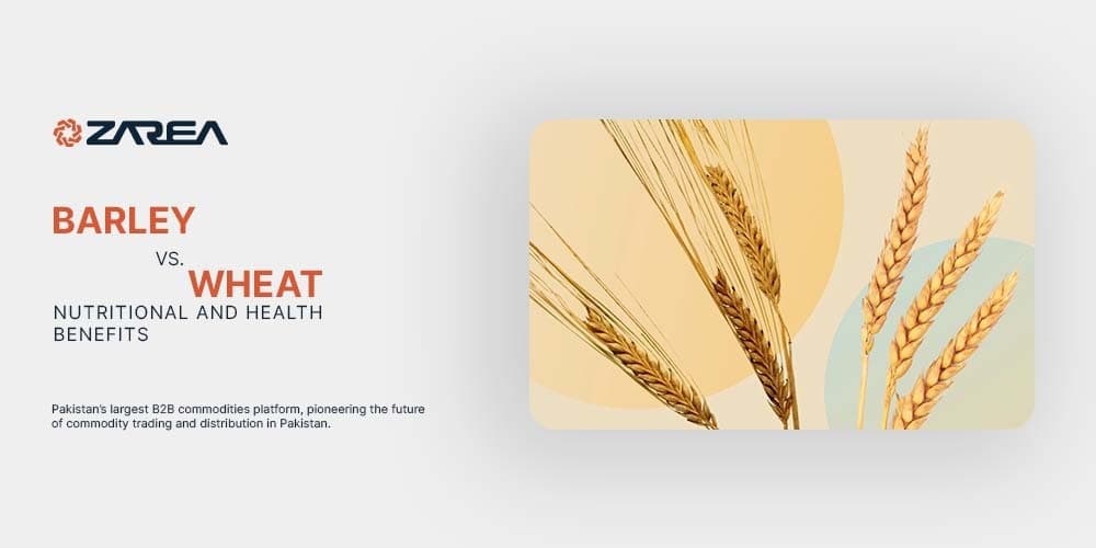Barley vs Wheat | Nutritional and Health Benefits