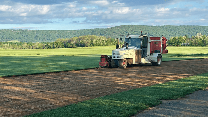 Turf Farming: Growing Green Landscapes from the Ground Up