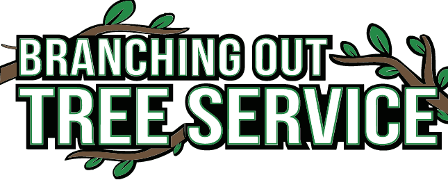 Deer Park Tree Service Deer Park