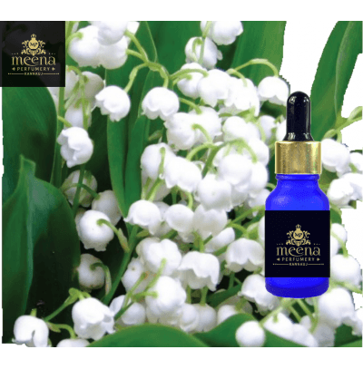 Discovering the Best Quality Absolute Oils Manufacturer