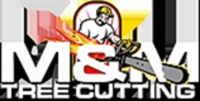 Tree Cutting & Removal at Discounted Rates