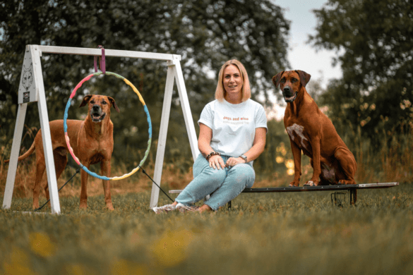 Wuff & Wissen: Der Blog zum Hundeverhalten