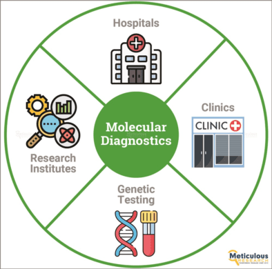 North America Molecular Diagnostics Market Projected to Reach $18.13 Billion by 2030: Exclusive Repo