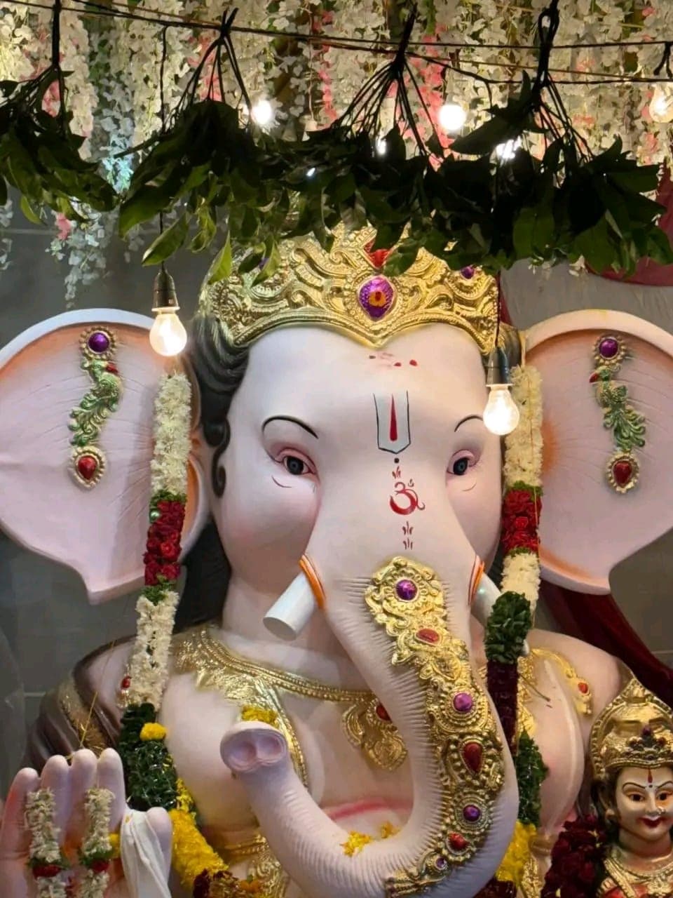 Kothapeta Ganesh Vayalpad
