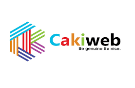 Software Company in Bhubaneswar, Get Best Software Solution with Cakiweb