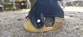 Unleash the Ultimate Comfort and Protection with Full Custom Hoof Boots