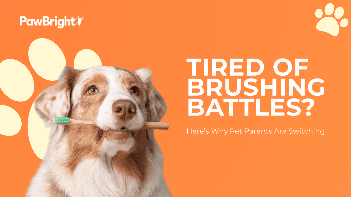 Why Thousands of Pet Parents Are Switching to Easy