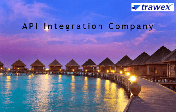 API Integration Company