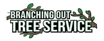 Tree Trimming & Pruning Nassau County