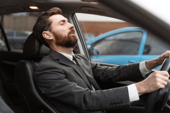Chauffeur meaning What Chauffeur Is Referring To?