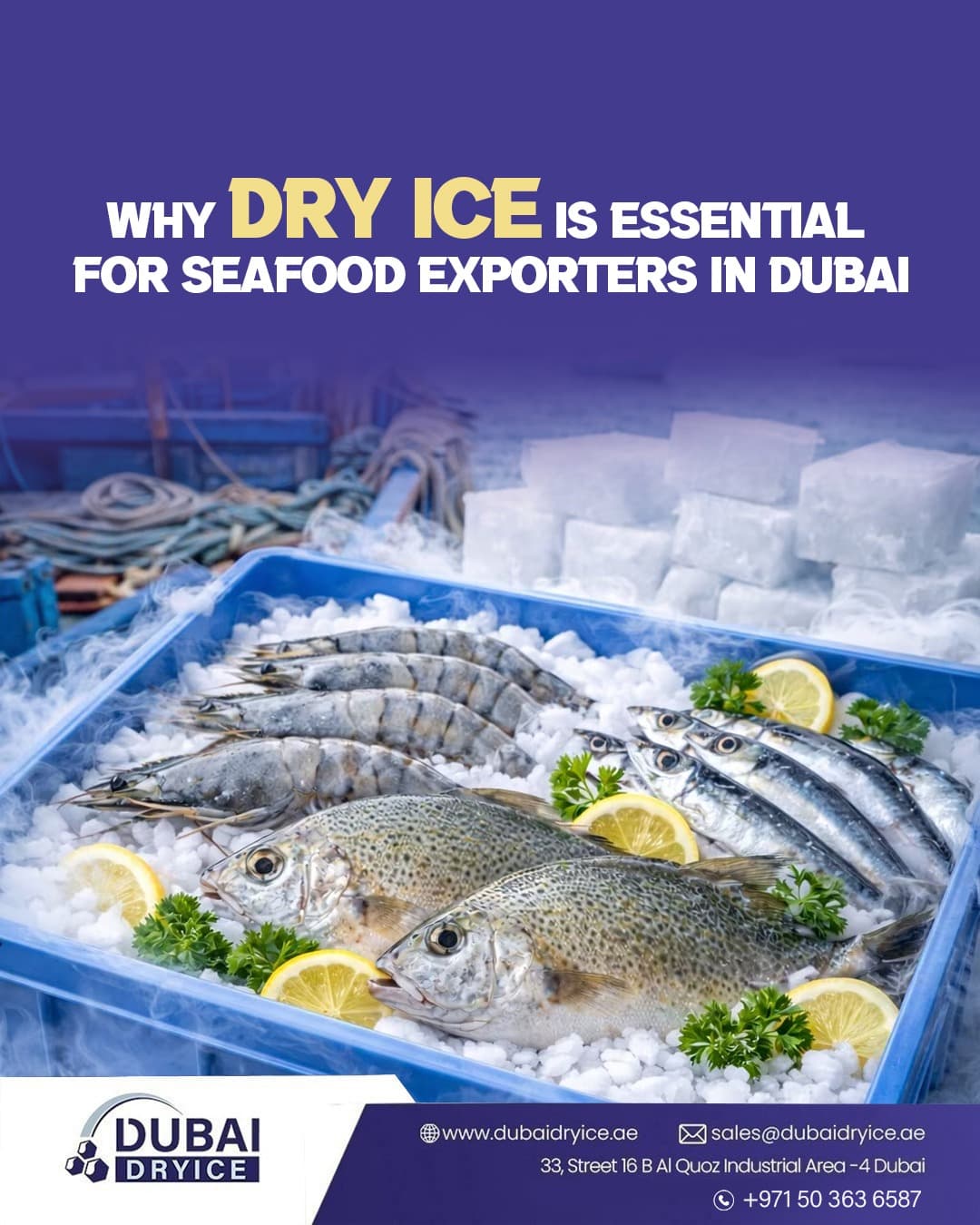 Why Dry Ice is Vital for Dubai’s Seafood Export Industry