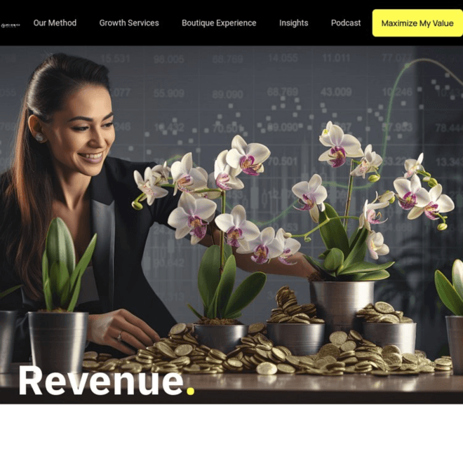 Strategic growth consultant