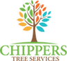 Stump Grinding Experts in Dallas-Fort Worth | Free Estimates