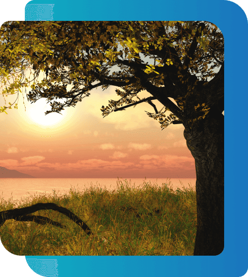 Anger Management Therapy Ontario
