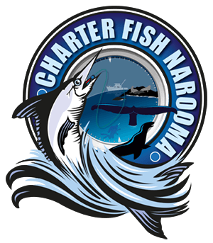 Charter Fish Narooma