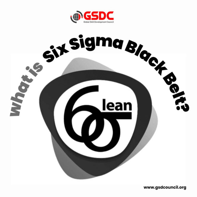 what is Six Sigma Black Belt
