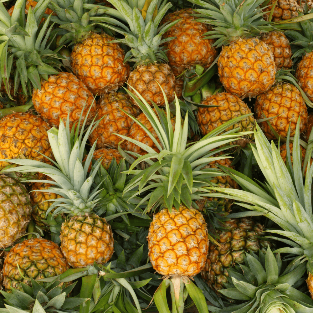 5 Amazing Health Benefits of Pineapple Juice 🍍
