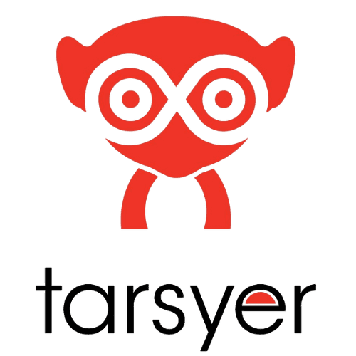 AI Video Surveillance
