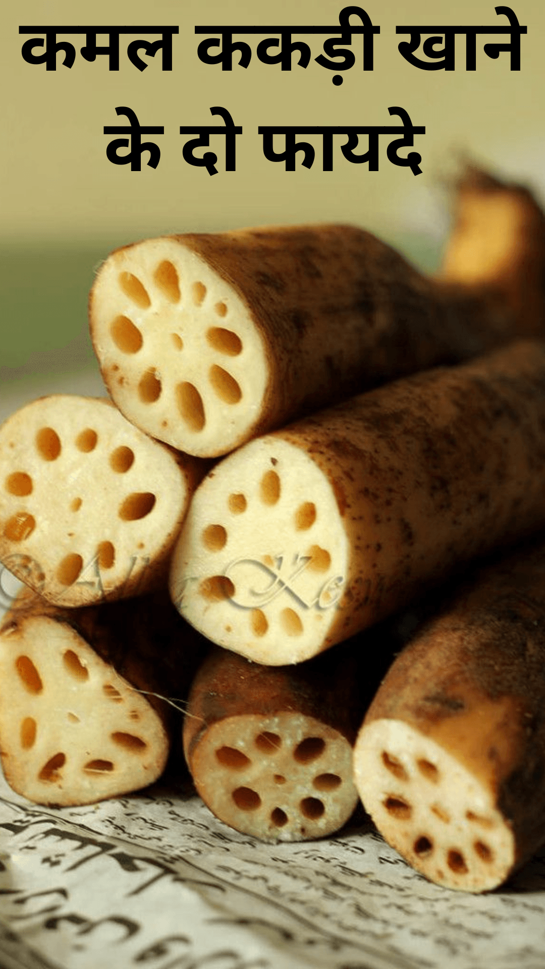 Two benefits of eating lotus cucumber