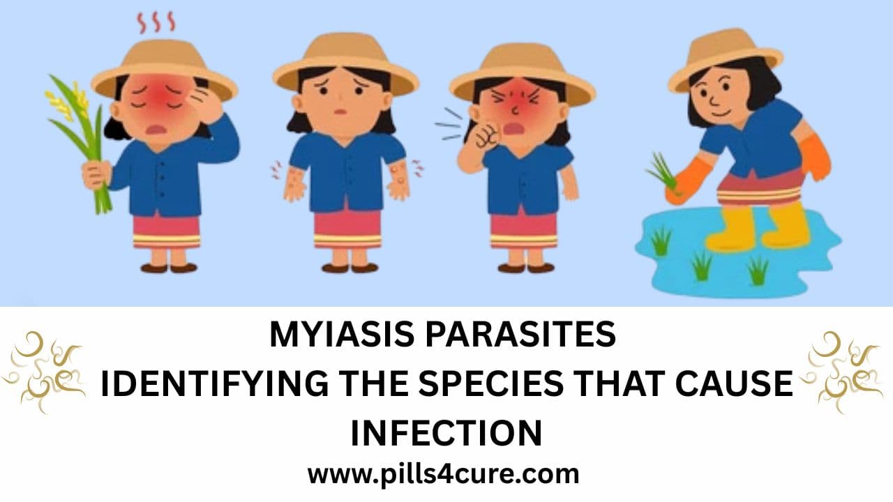 Effective Myiasis Treatment Options What Really Works