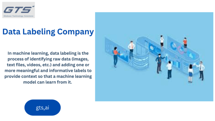 Data Labeling Company: The Backbone of AI Development