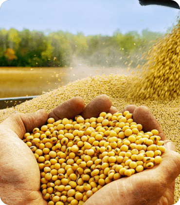 Enhancing Industrial Efficiency with High-Quality