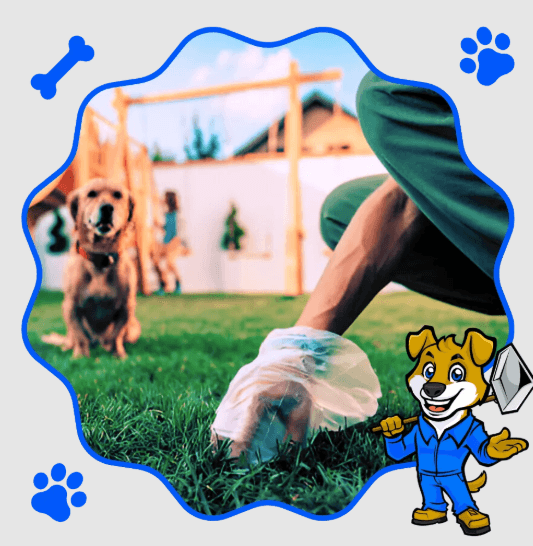 Dog waste removal services