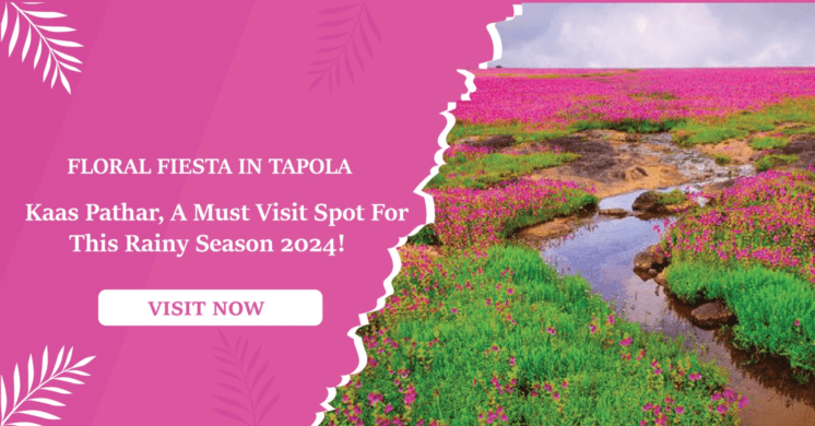  Kaas Pathar, a must-visit spot for this rainy season 2024